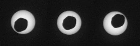 NASA image: Annular Eclipse of the Sun by Phobos, as Seen by Curiosity