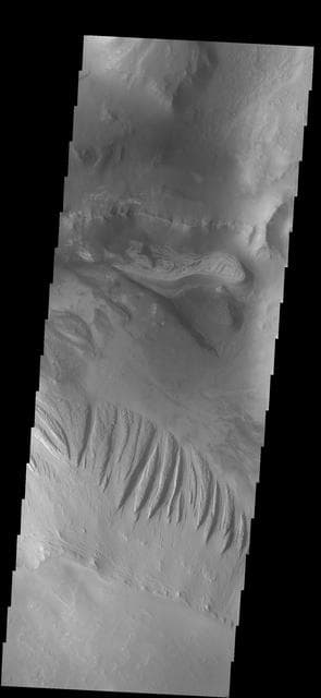 NASA image: Candor Chasma
