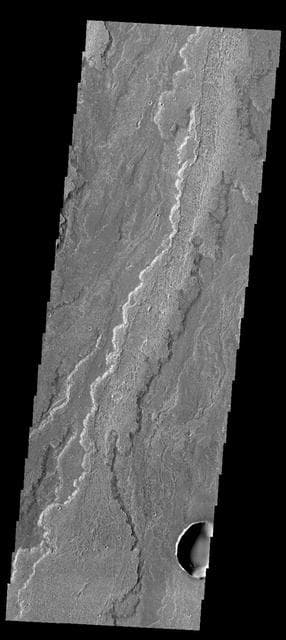 NASA image: Daedalia Planum