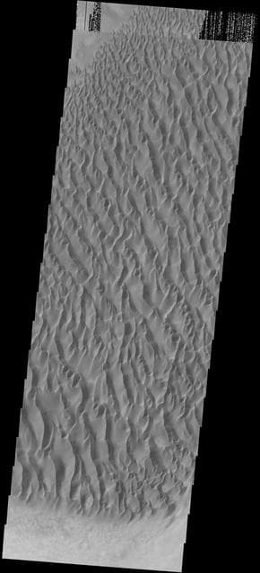 NASA image: Proctor Crater Dunes