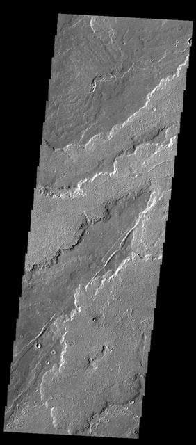 NASA image: Daedalia Planum