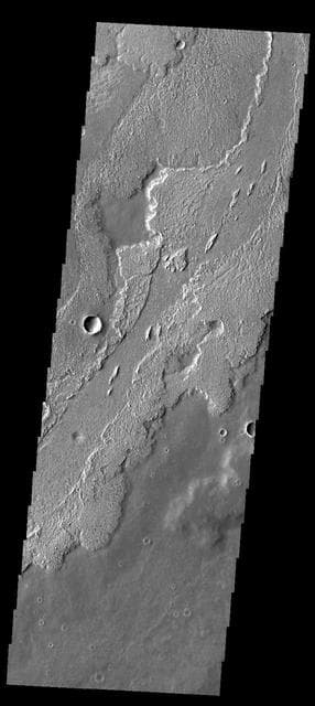 NASA image: Daedalia Planum