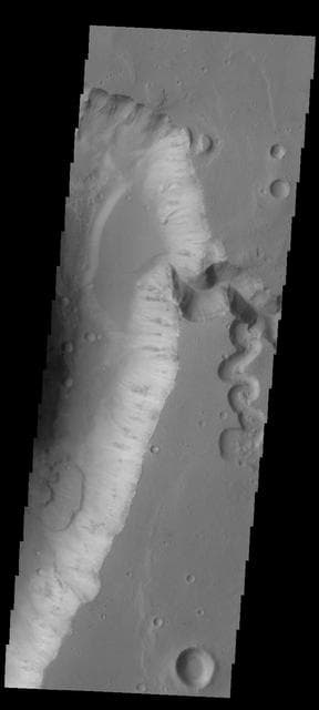 NASA image: Shalbatana Vallis