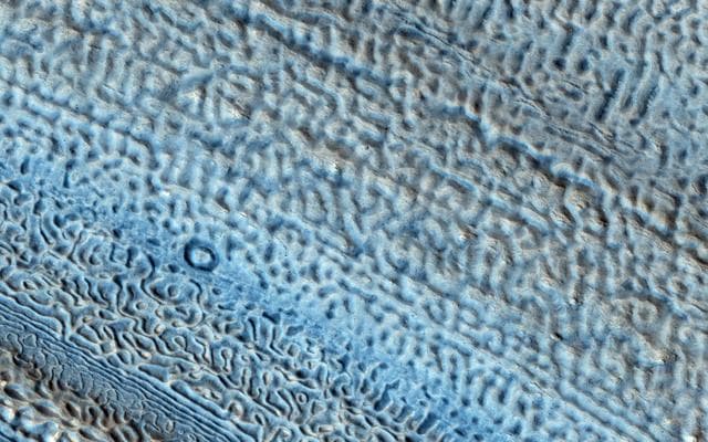 NASA image: Martian Glaciers and Brain Terrain