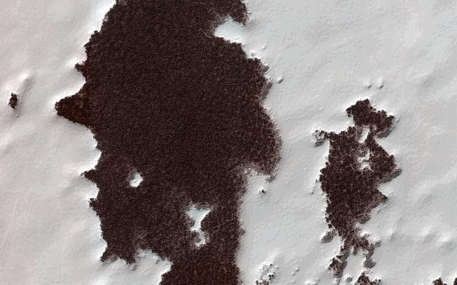 NASA image: Polygonal Surface Patterns at the South Pole