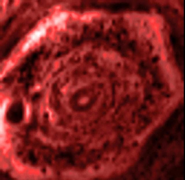 NASA image: Hexagon in Silhouette