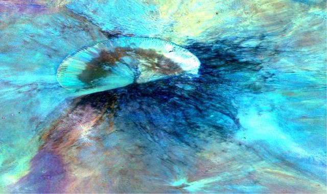 NASA image: Antonia in Blue