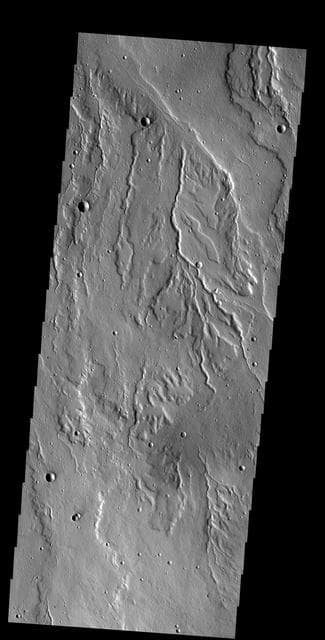 NASA image: Rubicon Valles