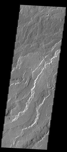 NASA image: Daedalia Planum