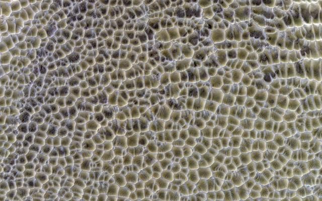 NASA image: Polygonal Dunes