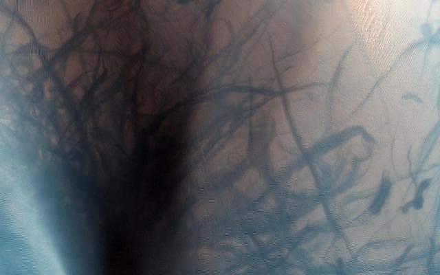 NASA image: Dust Devil Tracks and Slope Streaks on Martian Sand Dunes