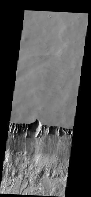 NASA image: Tithonium Chasma