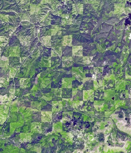 NASA image: Idaho-Montana Logging