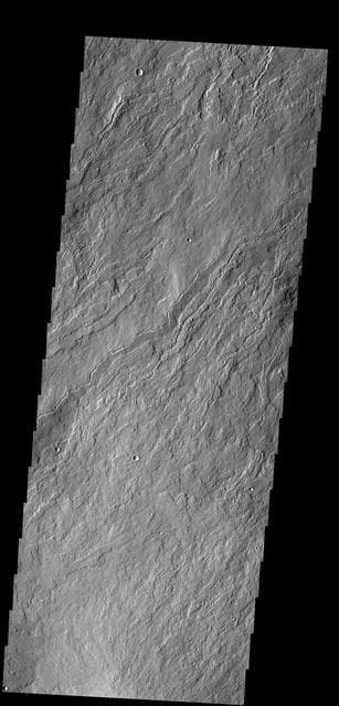 NASA image: Olympus Mons