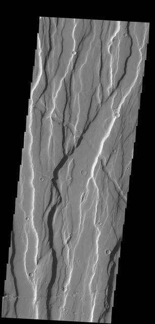 NASA image: Ceraunius Fossae
