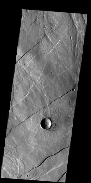 NASA image: Alba Fossae