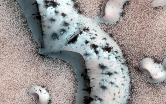 NASA image: Shapes and Spots on a Polar Sand Dune