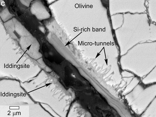 NASA image: Microtunnels in Yamato Meteorite From Mars