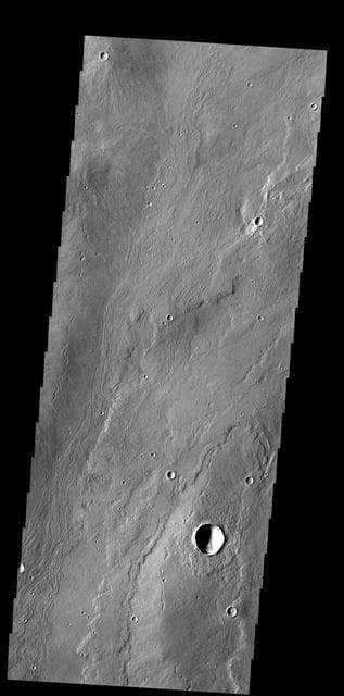 NASA image: Alba Mons Flows