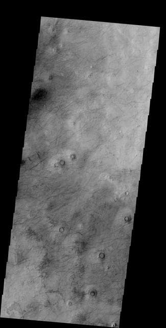 NASA image: More Dust Devils