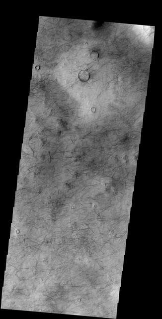 NASA image: More Dust Devils