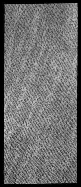 NASA image: North Polar Dunes