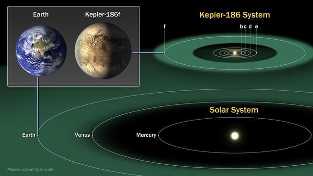 NASA image: Kepler-186 and the Solar System