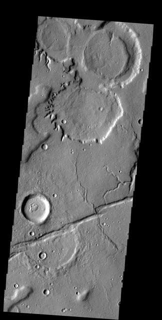 NASA image: Tempe Terra