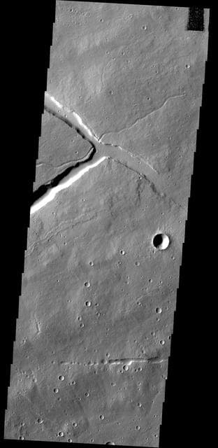 NASA image: Which Came First?