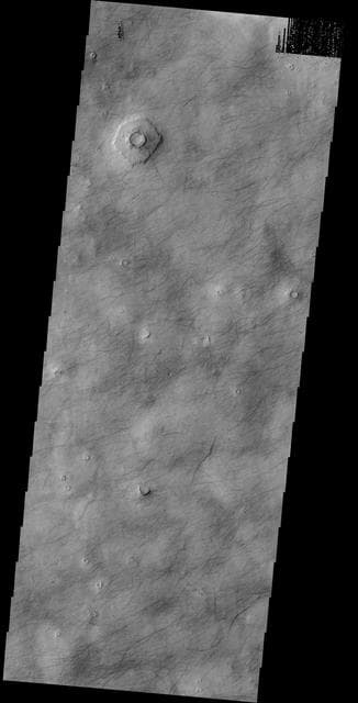 NASA image: Dust Devil Tracks