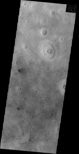 NASA image: Dust Devil Tracks