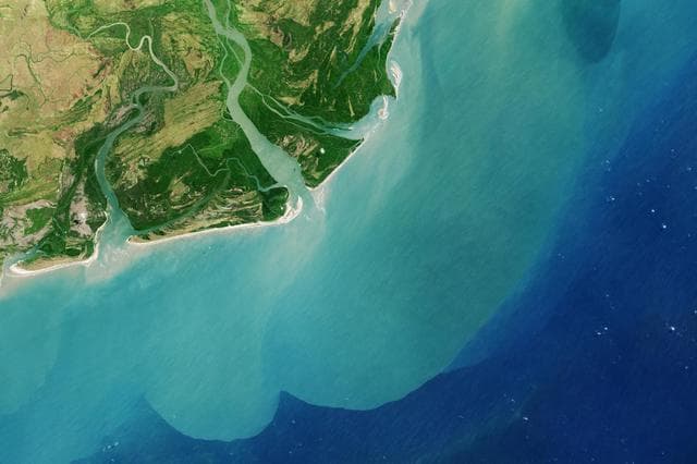 NASA image: Zambezi River Delta