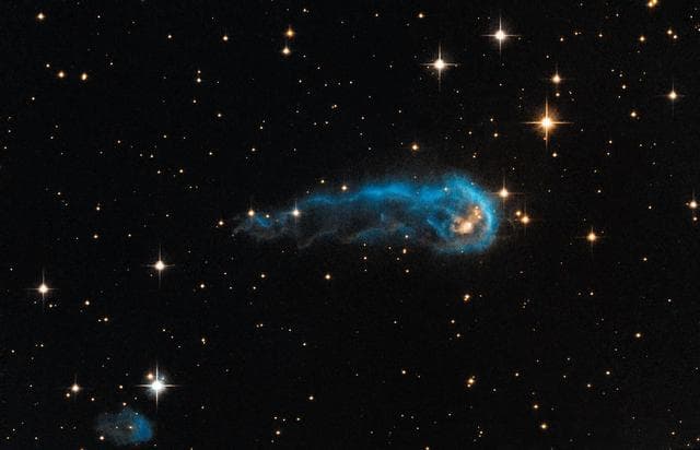 NASA image: The Tadpole and the Wriggler