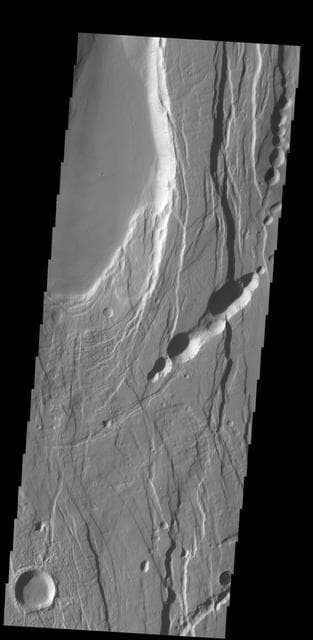 NASA image: Ceraunius Fossae