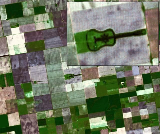 NASA image: Argentina Forest