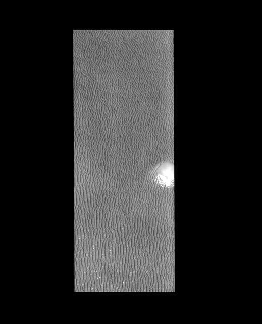 NASA image: Polar Dunes