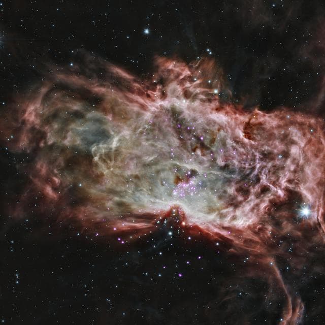 NASA image: Inside the Flame Nebula