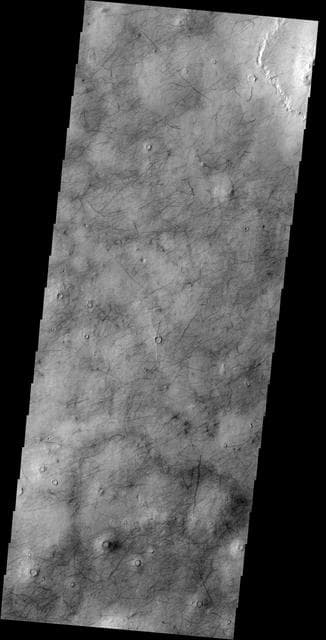 NASA image: Utopia Planitia