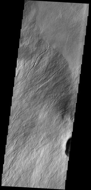 NASA image: Olympus Rupes