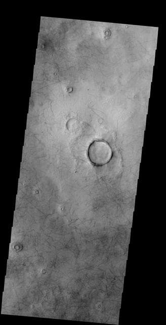 NASA image: Dust Devil Tracks