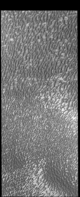 NASA image: North Polar Dunes