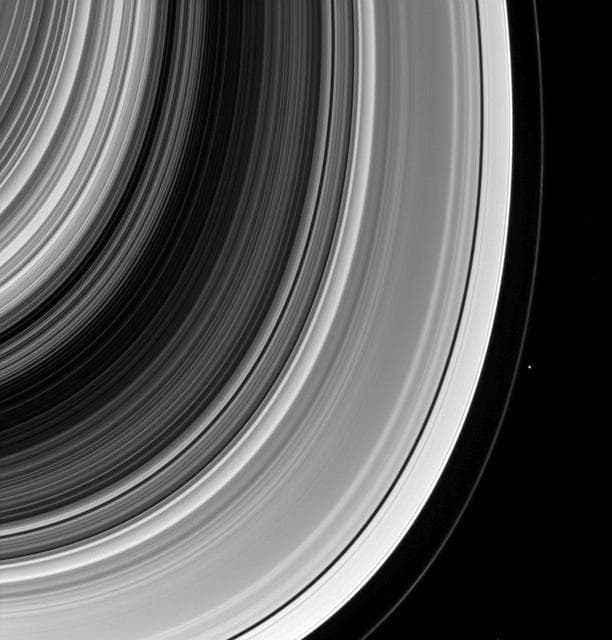 NASA image: Shepherd and Flock
