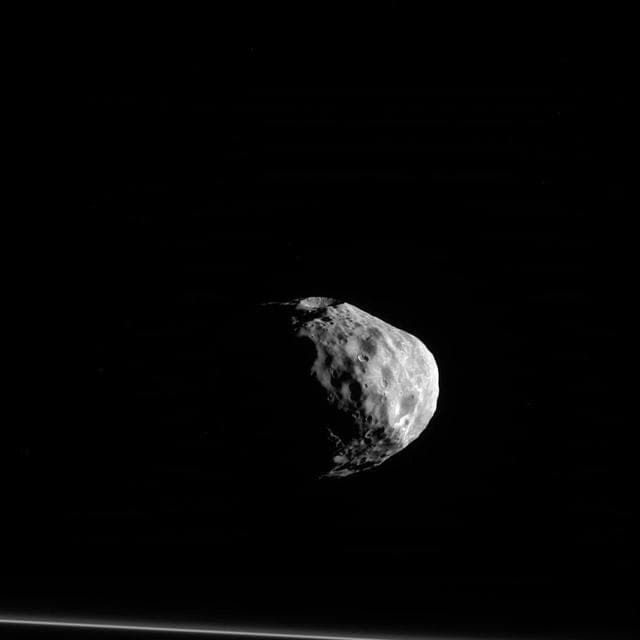 Contemplative Janus