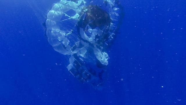 LDSD Chute