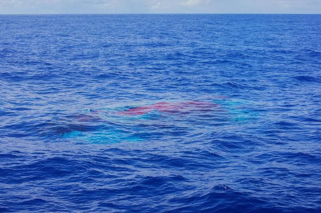 NASA image: LDSD Chute Beneath the Surface