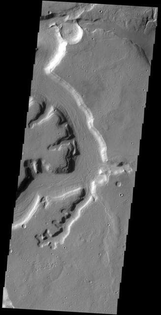 NASA image: Mamers Valles