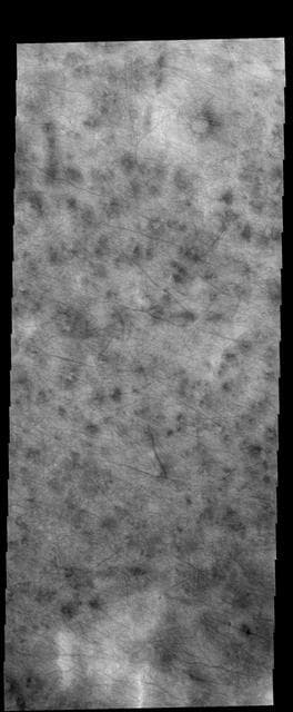 NASA image: Dust Devil Tracks
