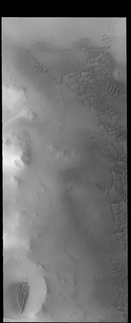 NASA image: North Polar Dunes