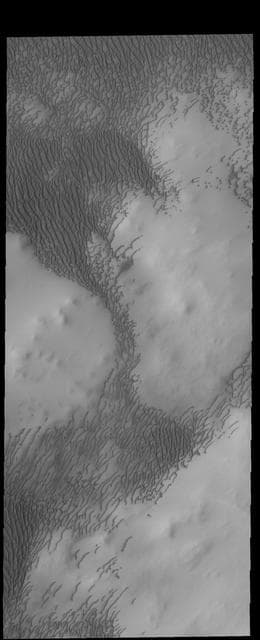NASA image: North Polar Dunes