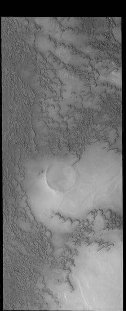 More Polar Dunes